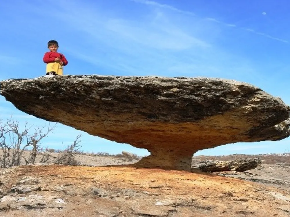 Diyarbakır Kocaköy’deki “mantar kaya” oluşumu 1