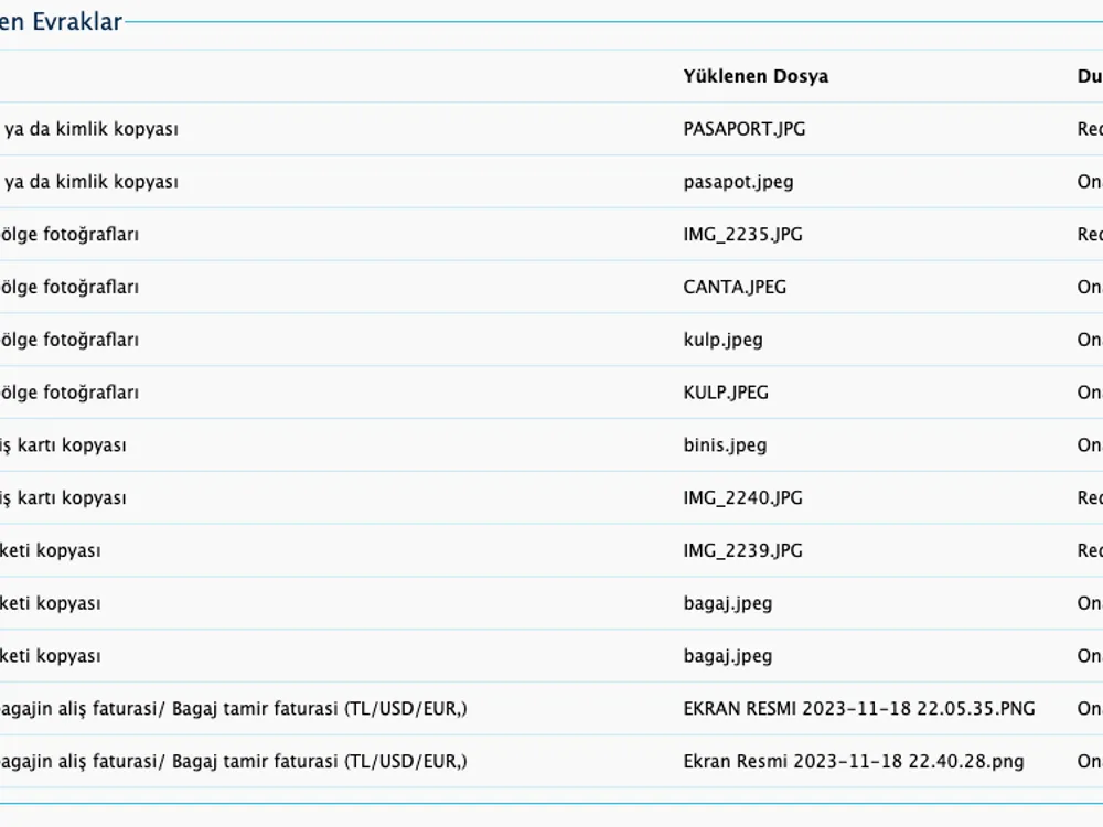 THY AJet Anadolu Jet Bagaj Hasar Fotograf yüklemeleri