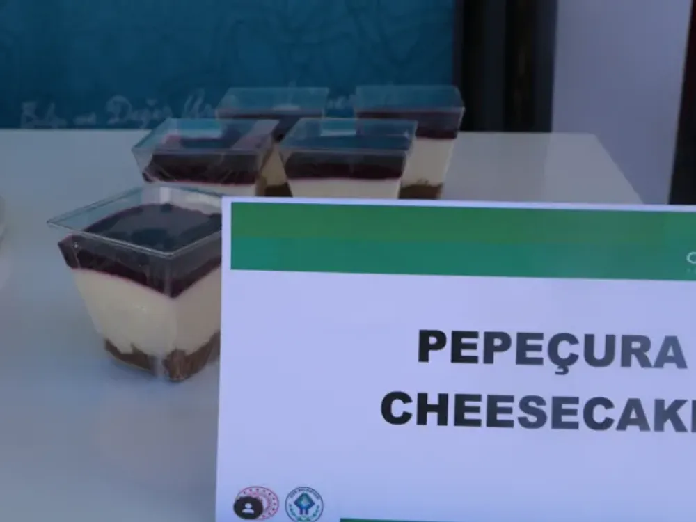 Pepeçuralı Cheesecake