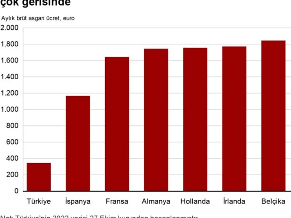 Asgari ücret grafik 3