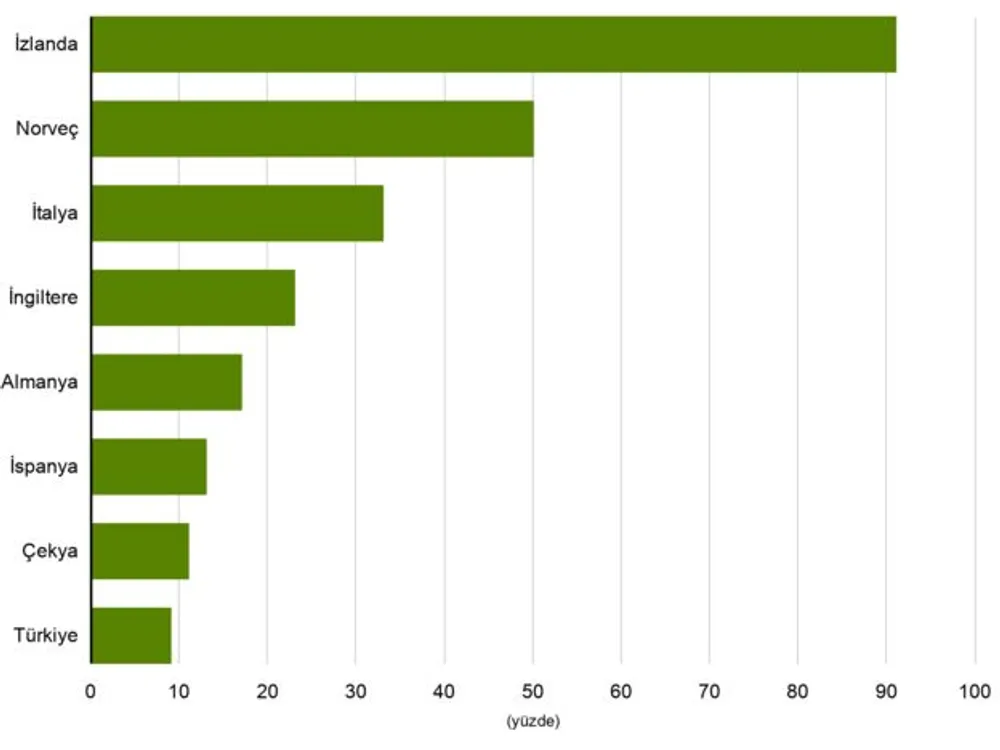 Asgari Ücret Grafik 4