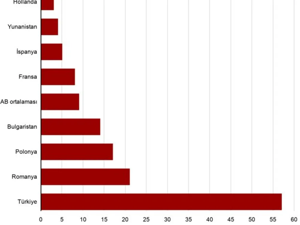 Asgari Ücret Grafik 6