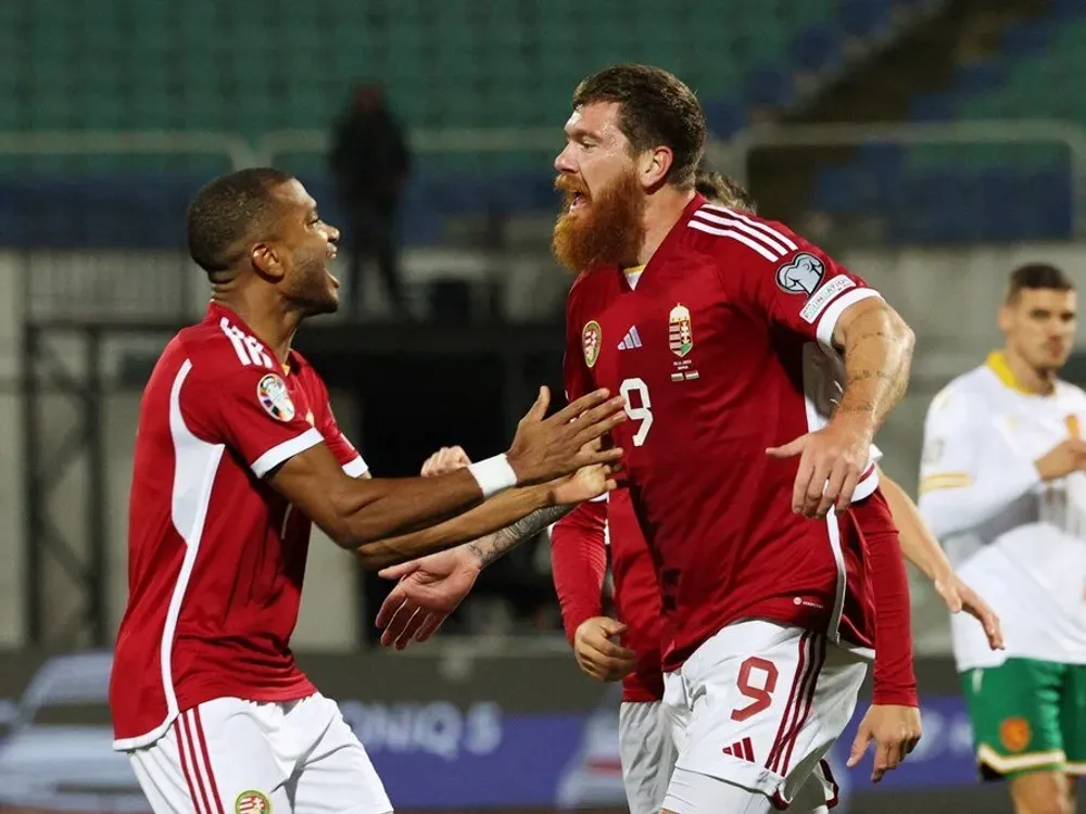 sırp milli takım 1