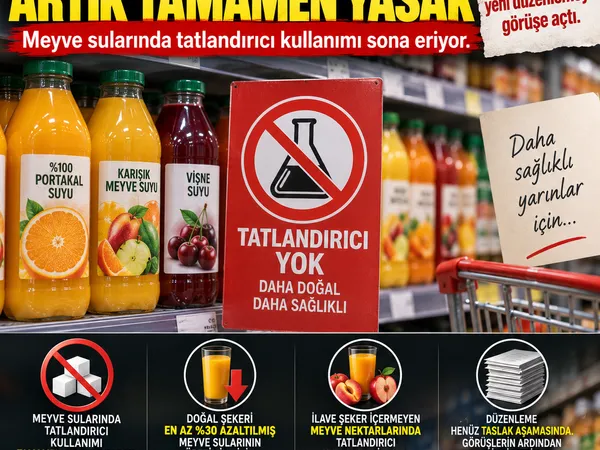 meyve suyu standartları 