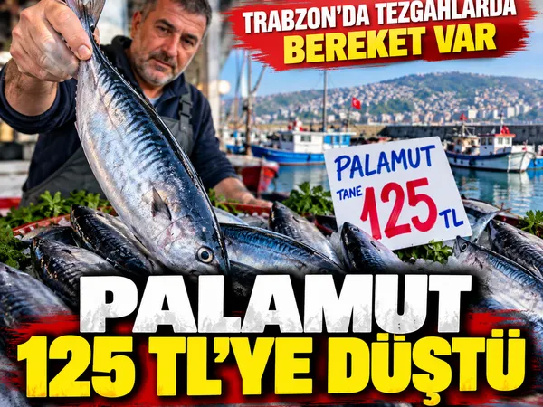 palamut