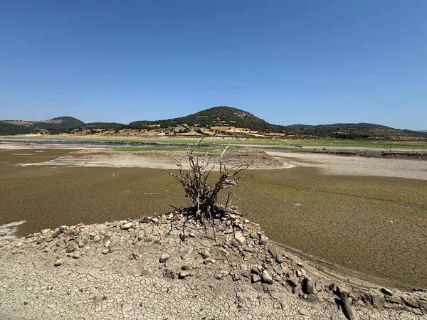 kuraklık