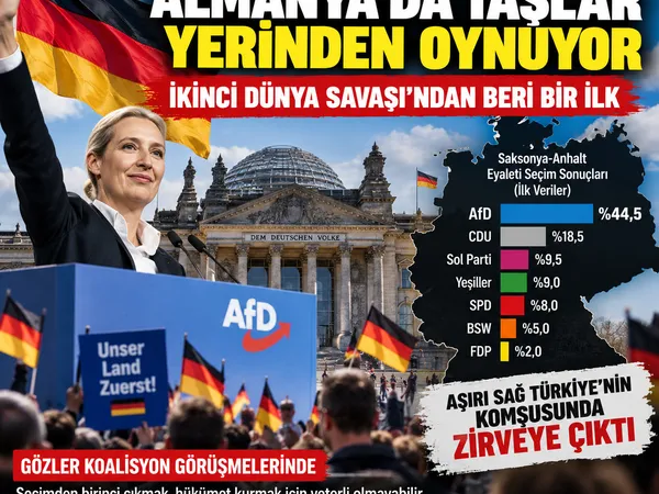 almanya afd