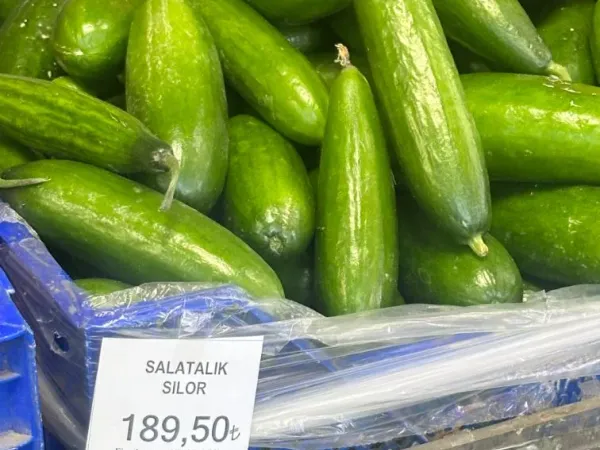 salatalık