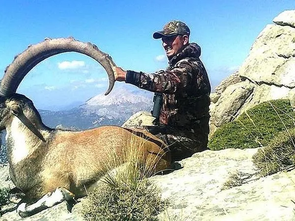 dağ keçisi 