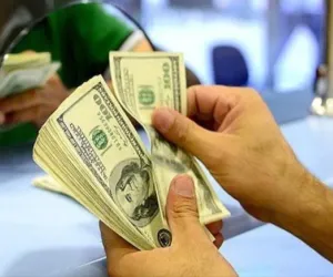  Dolar ABD Doları para saymak dolar kuru