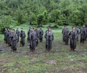  pkk