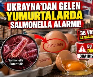 ukrayna yumurta