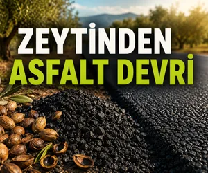 zeytin