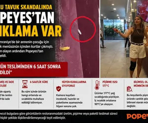 popeyes kurtlu tavuk