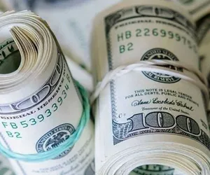 DOLAR