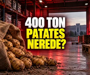patates 400 ton bismil kayıp
