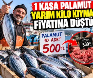 palamut