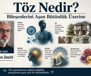 töz nedir ali cem zincirli