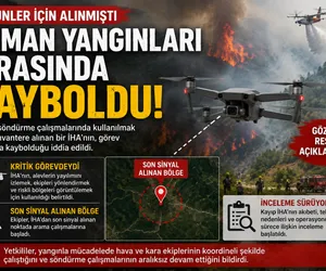 orman yangını