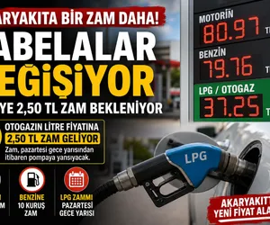lpg zam 