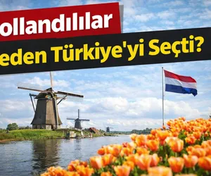 hollanda turist türkiye
