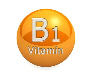 b1 logosu
