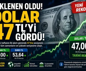 dolar