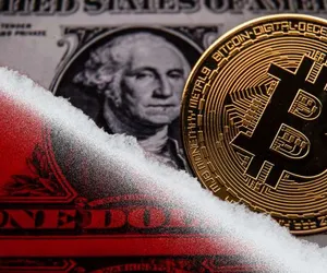 dolar ve bitcoin 