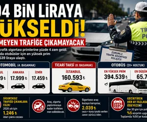 trafik ceza sigorta