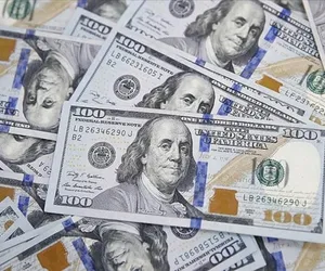 dolar