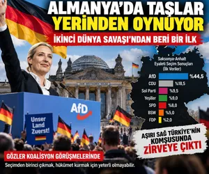 almanya afd