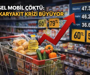 ekonomi akarakıt gıda fiyatları