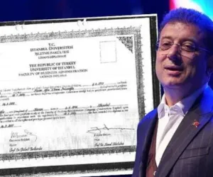 diploma