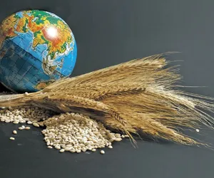 Küresel Gıda Fiyatları