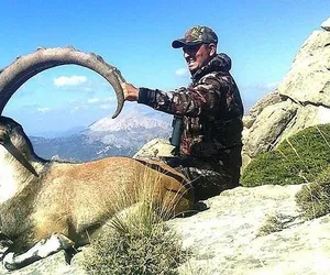 dağ keçisi 