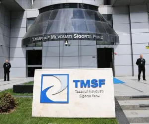 tmsf