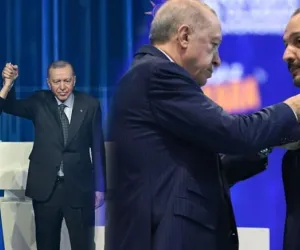 akp transfer