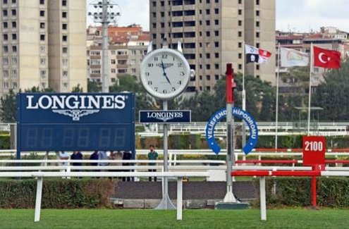 Dünyanın en pahalı atları İstanbul'da görücüye çıktı