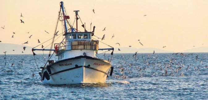 Sezon açıldı Karadenizli balıkçılar ağları attı bol bol balık çektiler