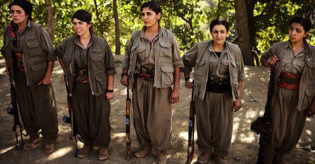 Terör örgütü PKK'ya katılımı 'Sıfır'a indirecek 8 proje