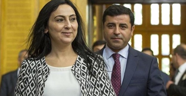 HDP'de Meclis danışmanları da gözaltına alındı