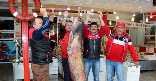 Samsun’da balıkçılardan 3 büyük av