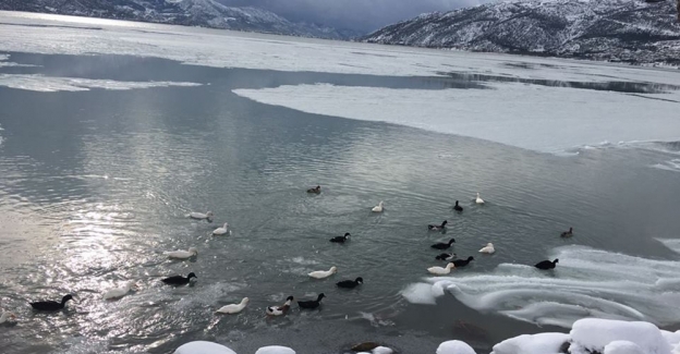 Eğirdir Gölü buz tuttu