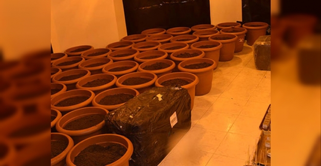 Kiraladıkları villanın her yerine sistem kurup yetiştirdiler