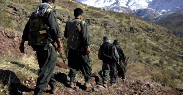 Şırnak'ta PKK operasyonunda 25 terörist yakalandı