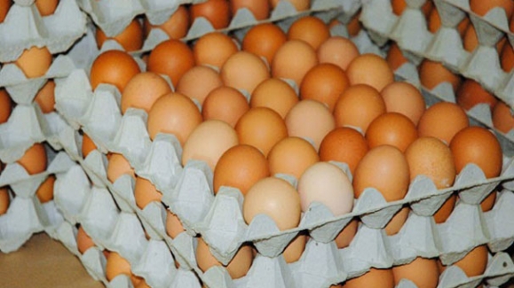 Yumurta fiyatlarındaki ani artışın nedeni ortaya çıktı