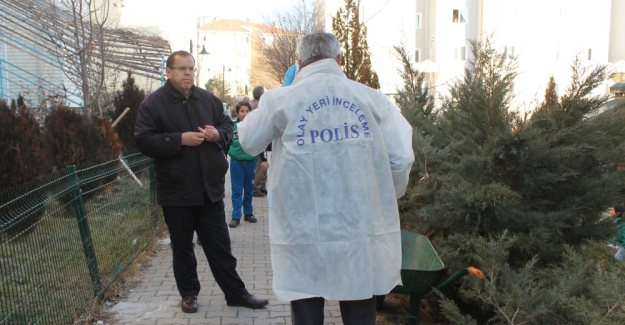 Arkadaş kavgası ölümle bitti