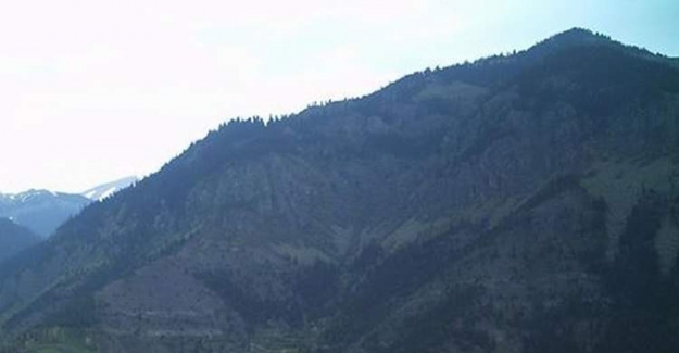 Ayının köye bakışı...