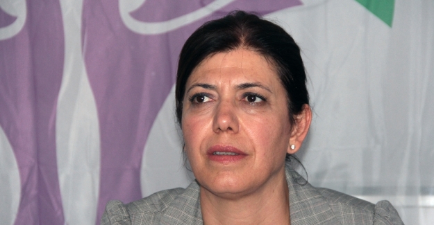 HDP’li vekil Meral Danış Beştaş tutuklandı