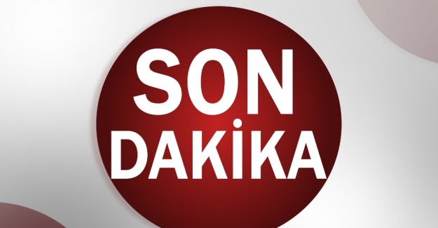 HDP’li vekil Lezgin Botan gözaltına alındı